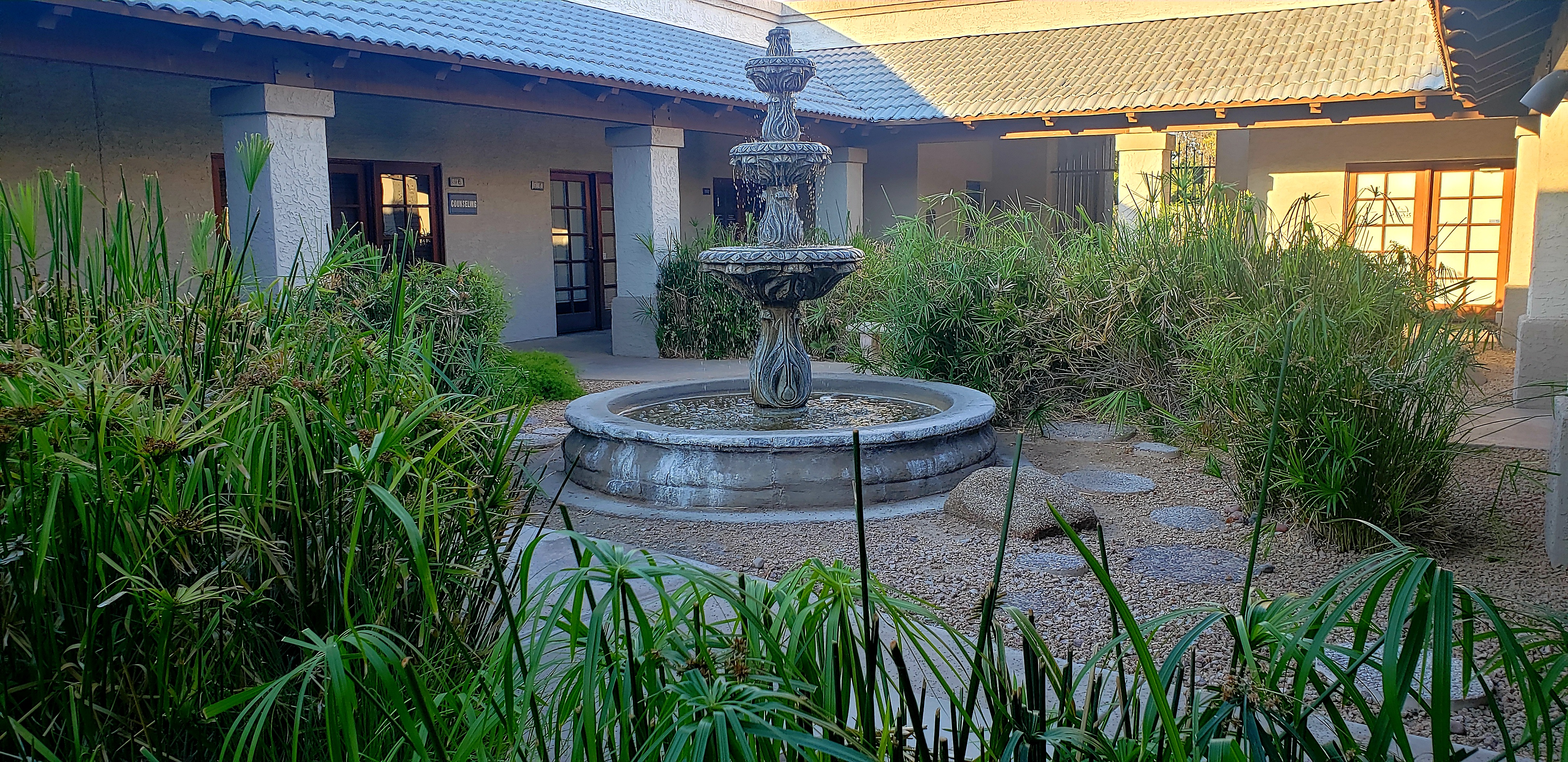 unnamed image